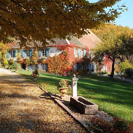 Le Schaeferhof Hotell Murbach Eksteriør bilde