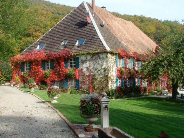 Le Schaeferhof Hotell Murbach Eksteriør bilde